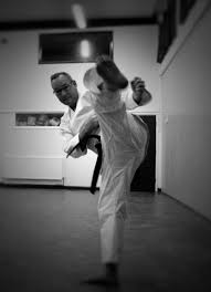 Image result for Loughton Wado-Kai Karate Club