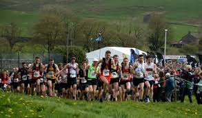 Image result for Three Peaks Triathletes