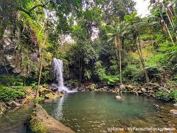 「Mt. Tamborine」的圖片搜尋結果