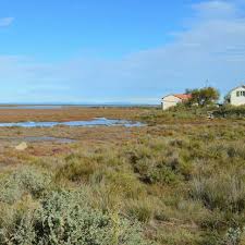 Image result for parque natural de camargue