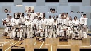 Image result for Imi Jishin Ryou karate do