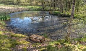 Image result for BLACKBURN RIFLE & PISTOL CLUB