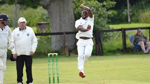 Image result for Ivybridge Cricket Club