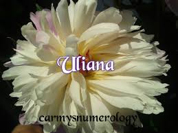 Image result for Sfânta Iuliana Falconieri