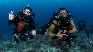 Image result for Exe To Sea Diving