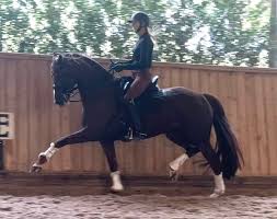 Image result for Interfreestyle Sport Karate