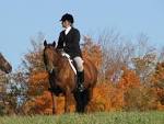 drag hunting | EQUINE Ink