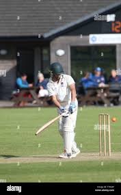 Image result for Carmarthen Wanderers Cricket Club