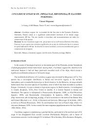 Attēlu rezultāti vaicājumam “Cinclidium stygium”