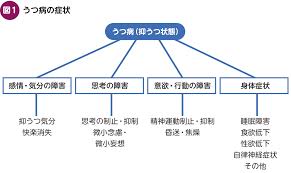 Image result for うつ病 亜型分類