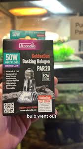 Risultati immagini per arcadia basking solar flood