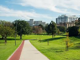 Image result for Box Hill SC