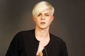 Image result for robyn