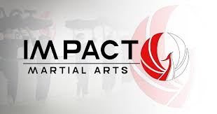 Image result for Impact Martial Arts