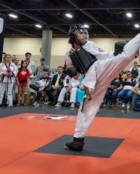 Image result for ATA Martial Arts Manchester