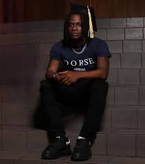 Image result for dordzse