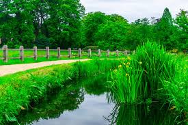 Image result for sonsbeek park