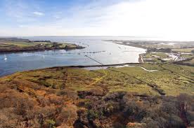 Image result for New Forest/Waterside