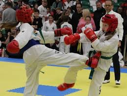 Image result for Didcot TAGB Tae Kwon Do