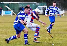 Image result for World of Shinty