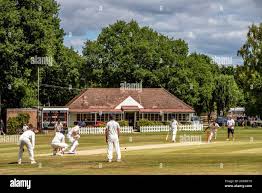 Image result for Ifield Cricket Club