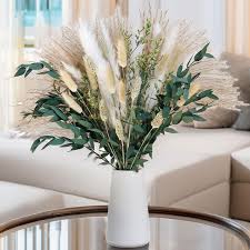 Attēlu rezultāti vaicājumam “Phragmites communis flower”