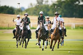 Image result for Cowdray Park Polo Club