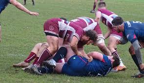 Image result for Newport (Salop) Rugby Union Football Club
