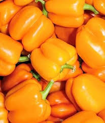 Afbeeldingsresultaat voor orange sun sweet pepper