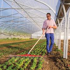 Image result for Harrow Tc