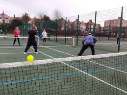 Image result for The Pickleballers UK