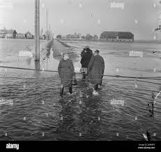 Image result for zeeland 1953