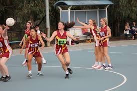 Image result for Wombles Netball Club