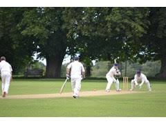 Image result for Potten End Cricket Club