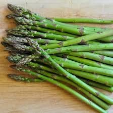 Attēlu rezultāti vaicājumam “Asparagus officinalis”