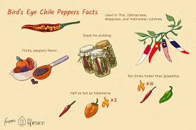 Afbeeldingsresultaat voor thai bird pepper hot pepper