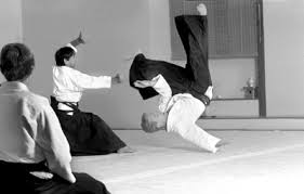 Image result for Matlock Aikido Club