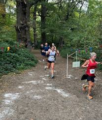 Image result for Croydon Harriers