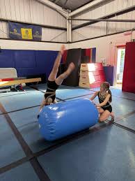 Image result for North Devon Display Gymnastics Club