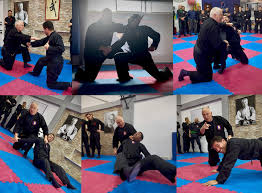 Image result for Peter Kings Dojo