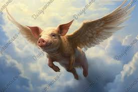 Image result for flying pigs