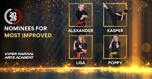 Image result for Vipers Thai/Kickboxing School