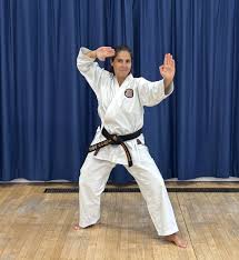 Image result for HEIWA SHOTOKAN KARATE CLUB