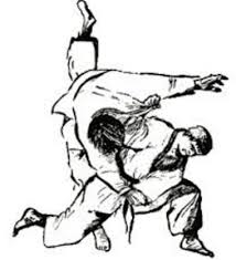 Image result for Phoenix Star Judo Club