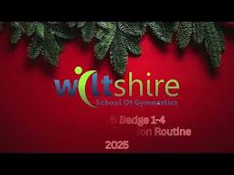 Image result for Wiltshire School Of Gymnastics