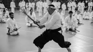 Image result for Iwama Shin Shin Aiki Shuren Kai