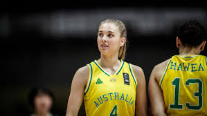 Image result for Shelley Netball Club