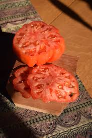 Afbeeldingsresultaat voor caspian pink tomato