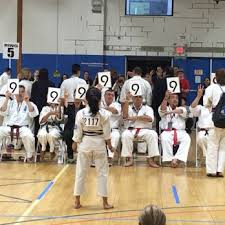 Image result for Aylesbury Vale Seido Karate
