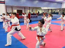 Image result for Hetton and Murton Karate Academy